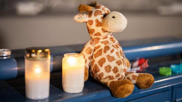 <p>Solingen: ein Teddybär und ein Stofftier auf einem Briefkasten vor einem Haus. Eine 27-jährige Mutter soll in Solingen fünf Kinder umgebracht haben.</p>