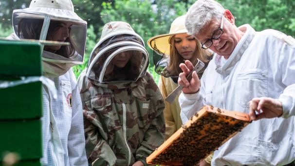 <p>Wenn Imker Henri Gelissen aus Rocherath-Krinkelt (rechts) Erklärungen zu seinen Bienen gibt, schauen Nina, Karina und Annika Brüls (v.l.n.r.) genau hin.</p>