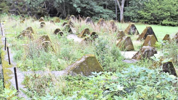 <p>Die Höckerlinie am Westwall in Roetgen soll bei der anstehenden Veranstaltung in „Traumsteine“ verwandelt werden.</p>