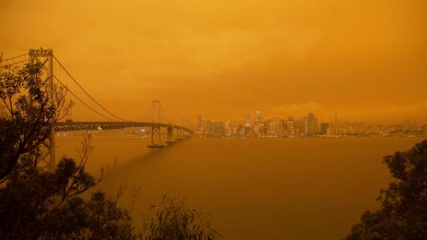 <p>BELGAIMAGE-167837604</p>