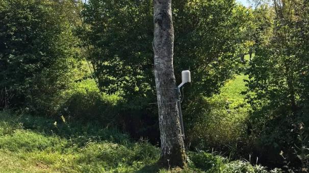 <p>Diese Wetterstation haben Michael Bleret und Luc Trullemans kürzlich in Wirtzfeld aufgesetzt.</p>