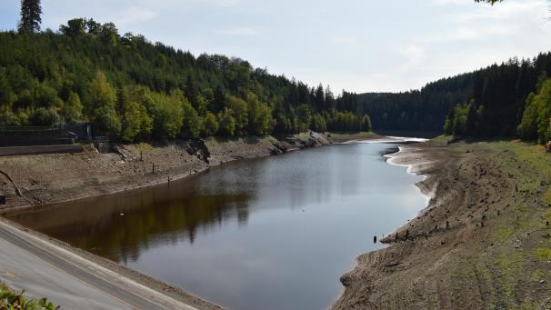 <p>Der Perlenbachsee gibt ein beunruhigendes Bild ab. Der Wasserspiegel ist so tief wie in 64 Jahren nicht.</p>