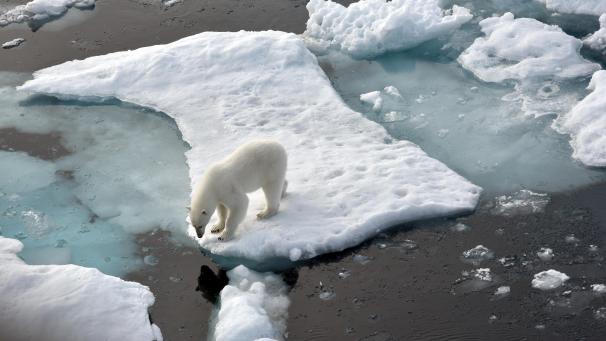 <p>Ein Eisbär steht im Nordpolarmeer auf eine Eisscholle. Das Meereis in der Arktis ist auf die zweitniedrigste Ausdehnung seit Beginn der Messungen vor rund 40 Jahren geschrumpft.</p>