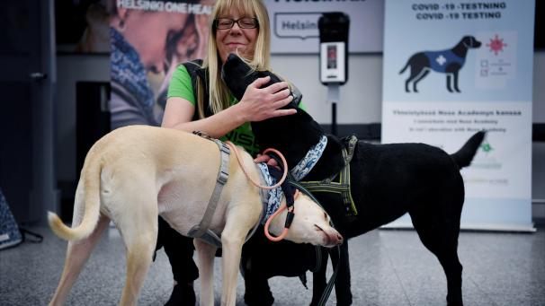 <p>Die Spürhunde K'ssi (links) und Miina haben eine besondere Fähigkeit: Sie können Corona-Infektionen bei Menschen erschnüffeln, noch bevor diese Symptome zeigten.</p>