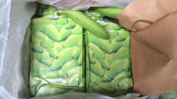 <p>Kokain in Bananenkisten verpackt: Das ist nicht selten, wie dieses Archivfoto, aufgenommen im Hafen von Antwerpen, zeigt.</p>