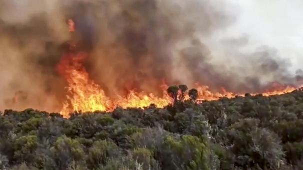 <p>Flammen steigen aus einem Waldstück auf dem Kilimandscharo empor.</p>