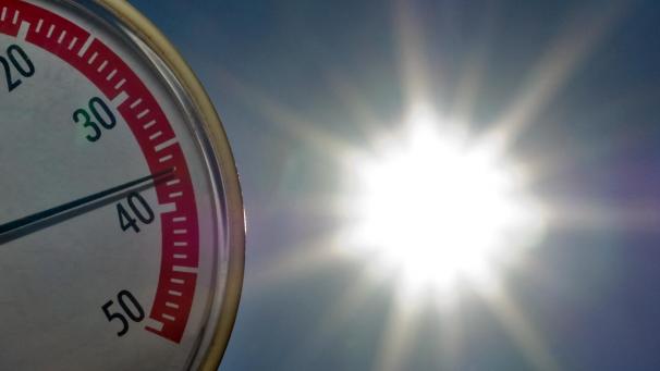 <p>Die Durchschnittstemperatur könnte bis zum Jahr 2100 um fünf Grad Celsius steigen.</p>