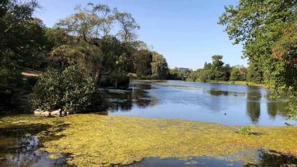 <p>Der Parc de Woluwe ist einer der größten Parks des Brüsseler Ballungsraums.</p>