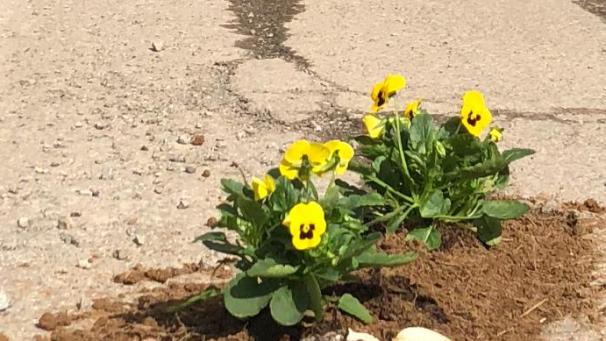<p>Schon im Oktober 2018 machten Anwohner auf den schlechten Zustand der Straße aufmerksam.</p>