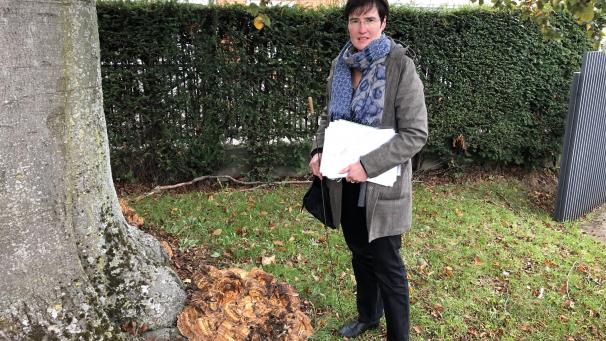 <p>Nadia Reinartz nimmt die Stadtbäume regelmäßig in Augenschein und beobachtet jede Veränderung.</p>
