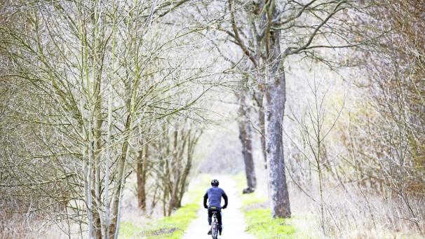 <p>Um neue Radstrecken zu entwickeln und deren Realisierung zu finanzieren, setzt Raeren auf die Teilnahme an einem wallonischen Förderprogramm.</p>