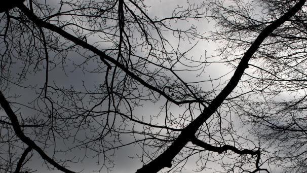 <p>Spätherbst und Winter dürften diesmal ziemlich trüb werden. Erst im Frühjahr kann wohl mit einer Entspannung an der Corona-Front gerechnet werden.</p>