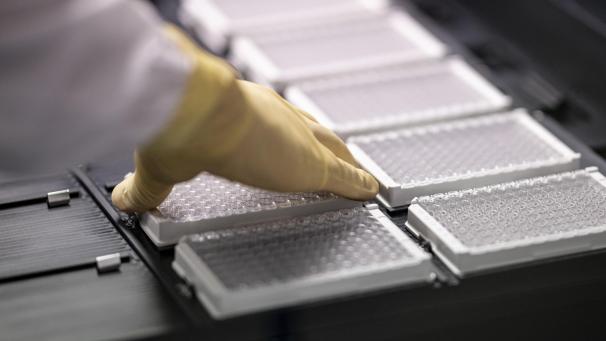<p>Ein Mitarbeiter von führt Tests für Covid-Antikörper durch.</p>