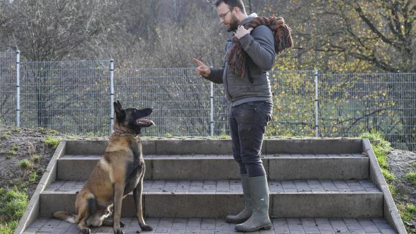 <p>Hundepsychologe Marvin Singleton arbeitet mehrere Stunden in der Woche ehrenamtlich mit den Tieren, bricht aggressive Verhaltensmuster auf und erhöht so die Chancen auf erfolgreiche Vermittlung.</p>