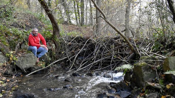 <p>An der Donnerkul hat ein Biber einen hohen Damm angelegt, um das Wasser zu stauen. Dieter Brandenburger freut sich über den neuen Nachbarn.</p>