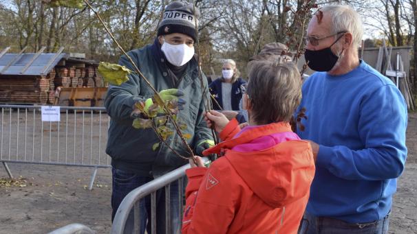 <p>Glücklich, wer eine Pflanze ergattern konnte. Der Andrang am Bahnhof Weywertz war groß.</p>