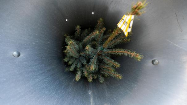 <p>In Eynatten verkauft der Weltladen am 12. Dezember Weihnachtsbäume. Der Erlös kommt einem Schulprojekt in Guatemala zugute.</p>