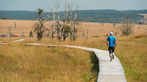 <p>Spaziergänger müssen im Hohen Venn auf den Wegen bleiben.</p>