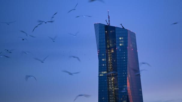 <p>Möwen fliegen am frühen Morgen vor der Europäischen Zentralbank (EZB) über den Fluss Main.</p>