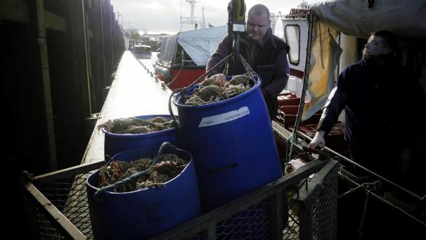 <p>Fischer des Fischerbootes Corentin-Lucas beim Entladen von Seespinnen im Hafen von Boulogne-sur-Mer. Die Fischereirechte sind ein Knackpunkt in den Verhandlungen zwischen dem Vereinigten Königreich und der Europäischen Union über ein Brexit-Handelsabkommen. Der Ton wurde zuletzt spürbar schärfer: So kündigte London an, die Küstengewässer nötigenfalls mit Schiffen der Royal Navy vor EU-Fischkuttern zu schützen.</p>