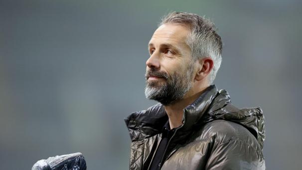 <p>Trainiert Marco Rose bald den BVB?</p>