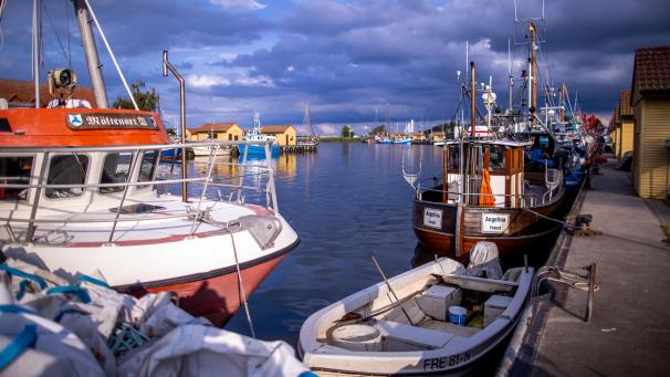 <p>Im Hafen liegen die Kutter der Fischer der Fischereigenossenschaft Freest und werden von der tiefstehenden Sonne angeleuchtet.</p>