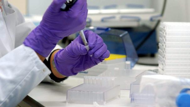 <p>Im Labor von Janssen Pharmaceutica (Johnson &amp; Johnson) im flämischen Beerse.</p>