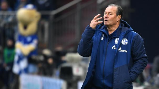 <p>Huub Stevens übernimmt den FC Schalke 04.</p>