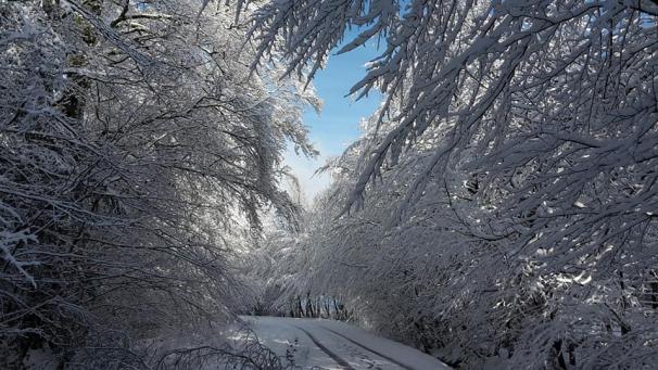 <p>Die Chancen stehen gut, dass wir einen weißen Jahreswechsel bekommen.</p>