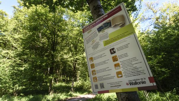 <p>Mit Hinweisschildern wurde in den betroffenen Gebieten auf die Afrikanische Schweinepest hingewiesen.</p>