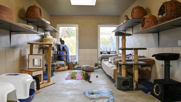 <p>Das Eupener Tierheim hatte die umliegenden Gemeinden um finanzielle Unterstützung gebeten.</p>