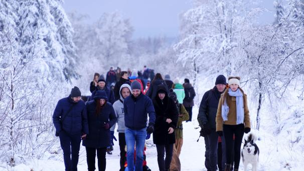 <p>Zehntausende Besucher steuern seit Tagen das Hohe Venn sowohl auf deutscher als auch auf belgischer Seite an und bringen die örtlichen Behörden an den Rand der Verzweiflung.</p>