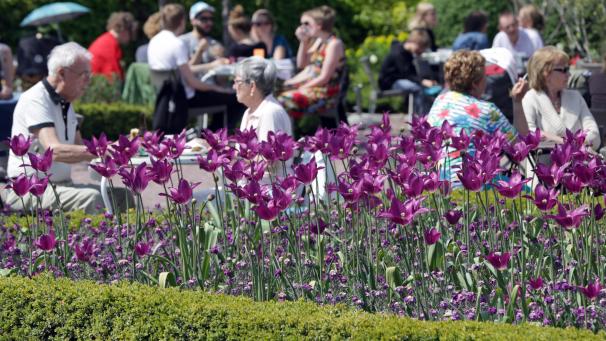 <p>Einen unbeschwerten Sommer genießen. Davon träumen viele in diesen ersten trüben Wintertagen.</p>