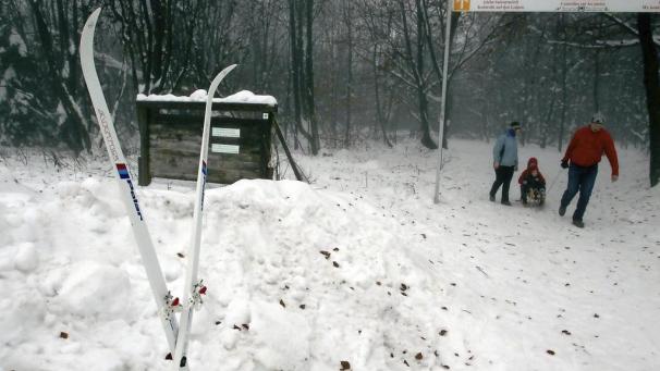 <p>Die Skizentren in der Region möchten sich nicht damit abfinden, dass die Saison 2020/21 gelaufen sein soll, und fordern eine Wiederöffnung.</p>