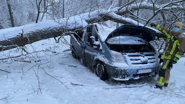 <p>In Jalhay ist am Freitagmorgen ein Baum auf ein fahrendes Auto gestürzt. Eine Person musste leicht verletzt ins Krankenhaus.</p>