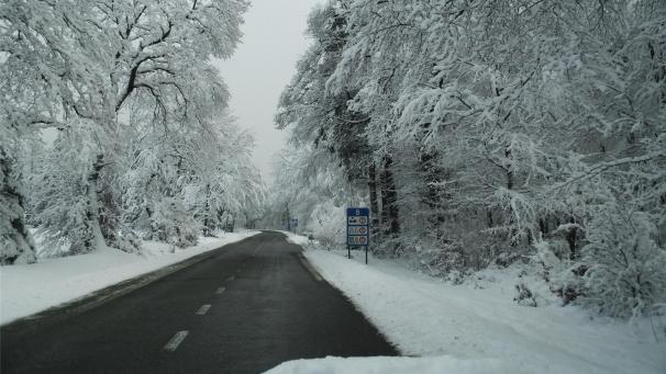 <p>d-18221222-TD8URK 2017-12-18 16_00_00</p>