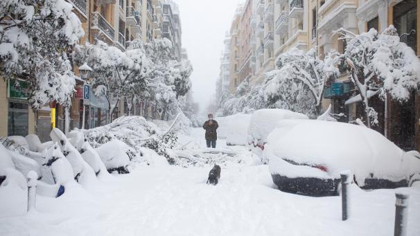 <p>Seit Freitagvormittag fielen in Madrid ununterbrochen dicke weiße Flocken vom Himmel.</p>