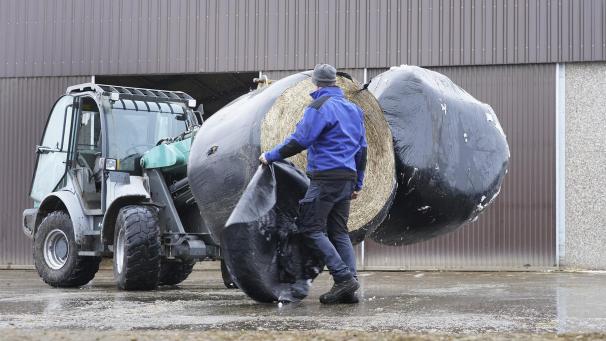 <p>Die neuen Bestimmungen gelten ab Februar und machen eine Neuorganisation auf den Höfen erforderlich.</p>