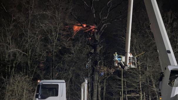 <p>Bei einem Brand in einem Baumhaus im Hambacher Forst ist ein Mann am Montagabend verletzt worden. Er wurde mit Verbrennungen in ein Krankenhaus eingeliefert, wie die Polizei mitteilte.</p>