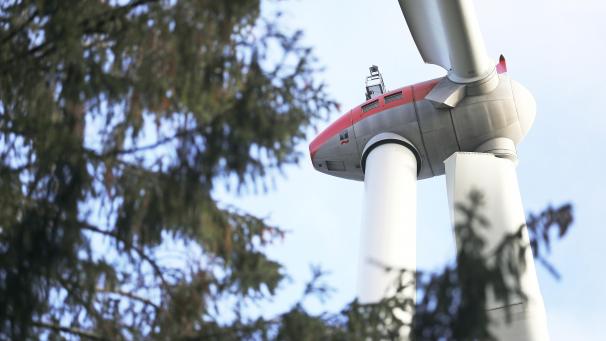 <p>Die Gemeinde Vielsalm steht der Einpflanzung eines Windparks im Waldgebiet offen gegenüber.</p>