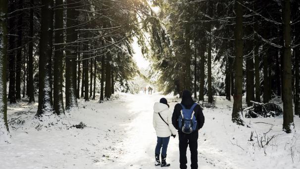 <p>Bei Einbruch der Dunkelheit war ein junges Ehepaar auf einer Wanderung durch das Hohe Venn von seinem Weg abgekommen.</p>