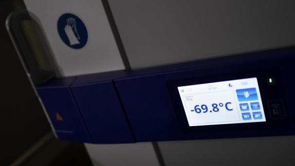 <p>BELGAIMAGE-171521690</p>