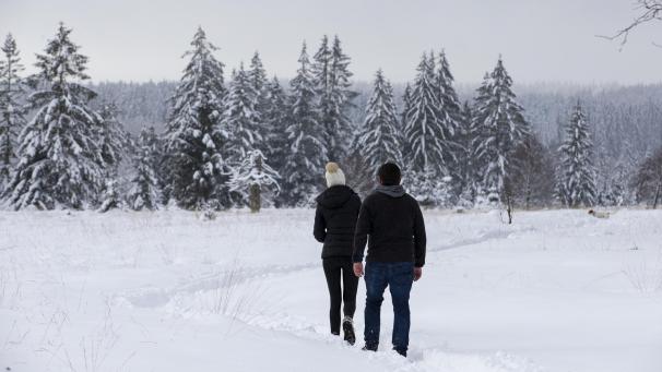 <p>Umweltministerin Céline Tellier hat den Vorschlag gemacht, einen wallonischen Nationalpark zu schaffen. Im Gespräch ist nun ein Teil des Venns.</p>
