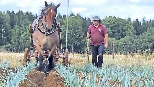 <p>Die Vereinigung „Les Amis du Domaine de Burnenville“ darf sich über eine Unterstützung von Elia freuen.</p>