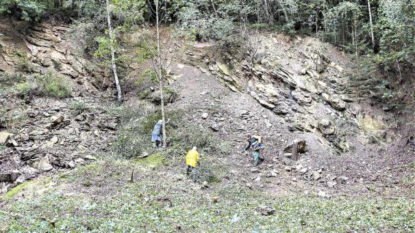 <p>Direkt unterhalb des Steinbruches will der Heimat- und Geschichtsverein Roetgen eine Narzissenwiese anlagen. Foto: HeuGeVe</p>