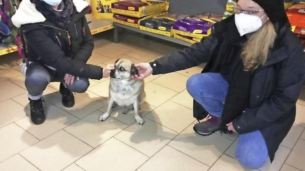 <p>Jerry ist aus dem Tierheim nach Malmedy zu Annette Beck (r.) gezogen.</p>