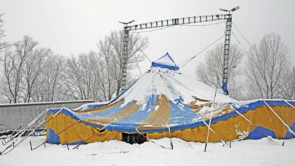 <p>Das Herzstück von „Circus Amany“, das gelb-blaue Zelt, ist in sich zusammengebrochen.</p>