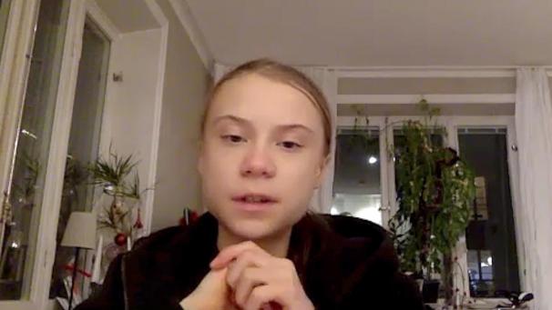 <p>Greta Thunberg, schwedische Klimaaktivistin, spricht während eines Videointerviews mit der Deutschen Presse-Agentur dpa.</p>