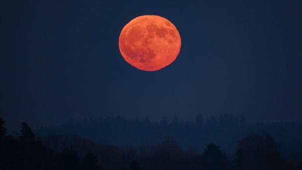 <p>Forscher berichten, dass Mondphasen sowohl auf Schlafmuster wie auch auf Menstruationszyklen von Frauen wirken könnten.</p>