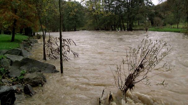 <p>Ein Archivbild der Amel, die viel Wasser mit sich trägt.</p>